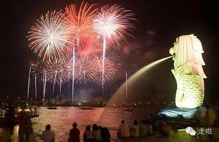 新加坡过年烟花爆料视频 第3张 新加坡过年烟花爆料视频 第3张