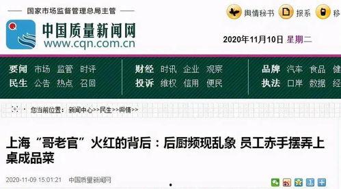 爆料安全官视频,深度解析网络安全漏洞与防护策略