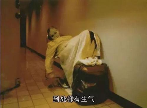 娼街在线观看  第3张 娼街在线观看  第3张