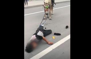 网红骑马爆料视频大全最新,揭秘马背上的精彩瞬间  第3张